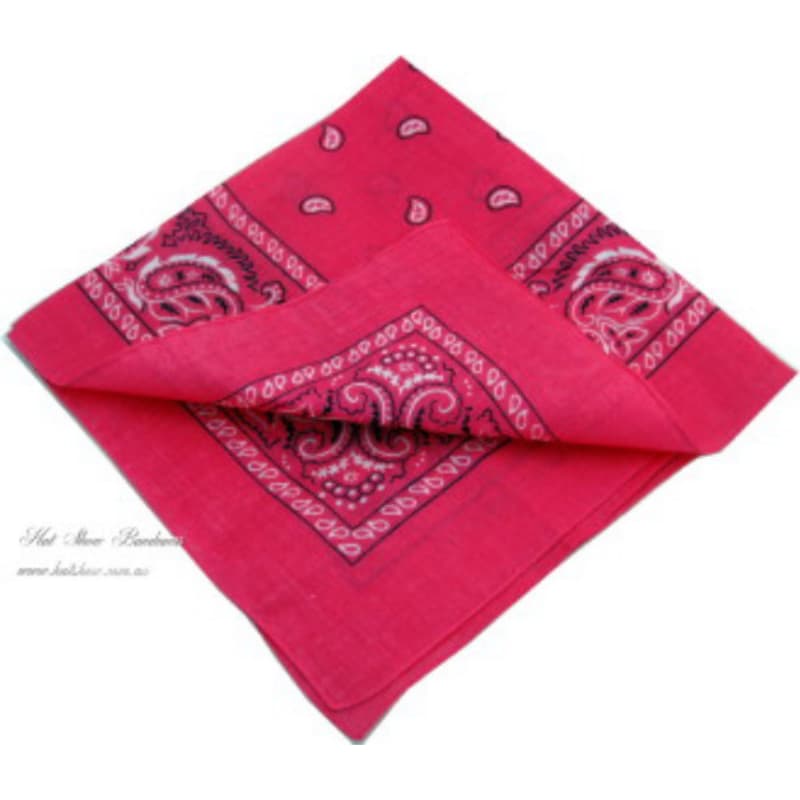 Square Bandana Hot Pink Paisley