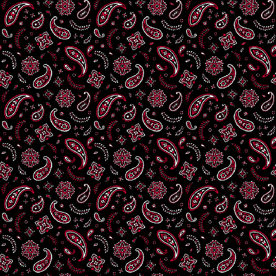 Bandana Scarf - Square - Double Sided - Black with Red Floral Paisley